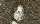 Kaiserin Maria Theresia (1717 - 1780)