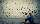 Resilient durch schwere Zeiten: 7 Management- und Leadership-Tipps