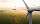 Green Bonds am Vormarsch